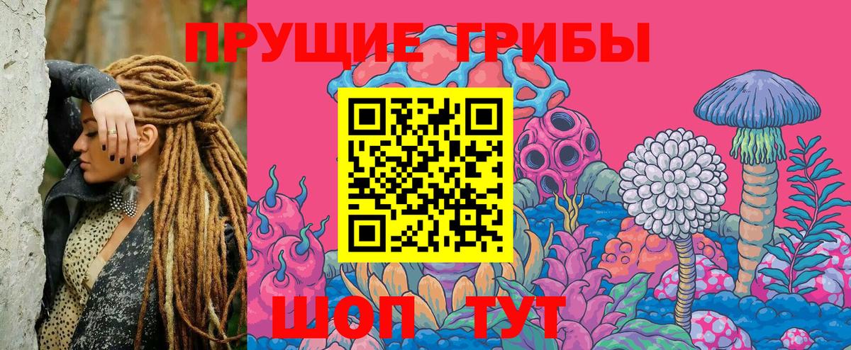 Можга  Галлюциногенные грибы ЛСД  Вход с VPN 